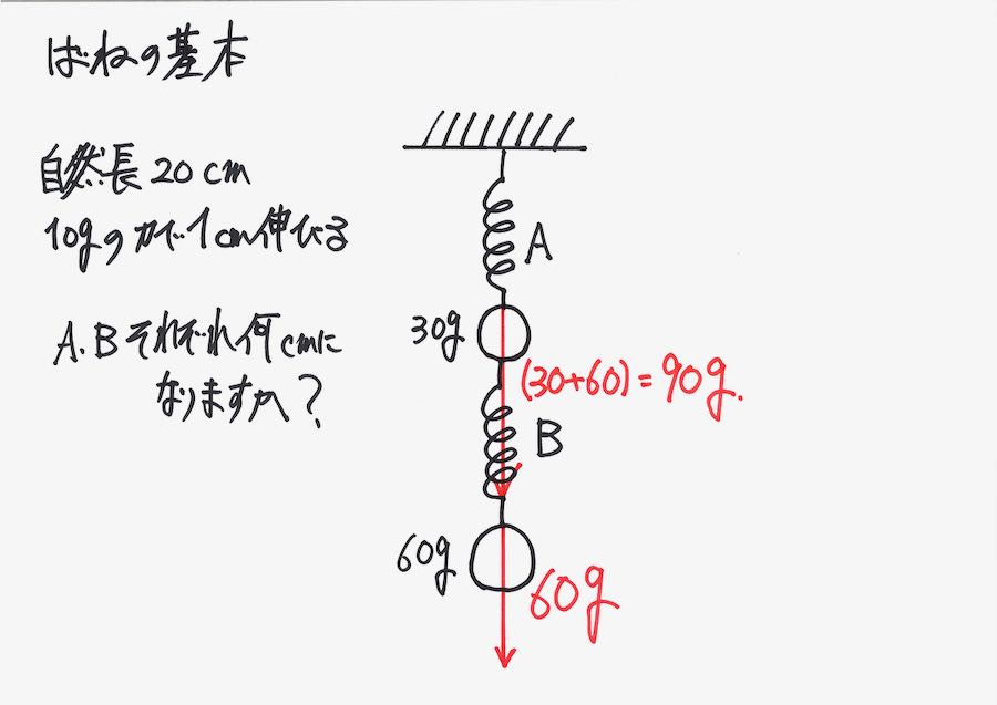 ばねの伸びの考え方 2〜直列・おもり2個・基本を重視・伸びる状況を描く・力のつり合い〜｜中学受験・理科 |  新教育紀行｜本質的教育・中学受験・中学高校の学び